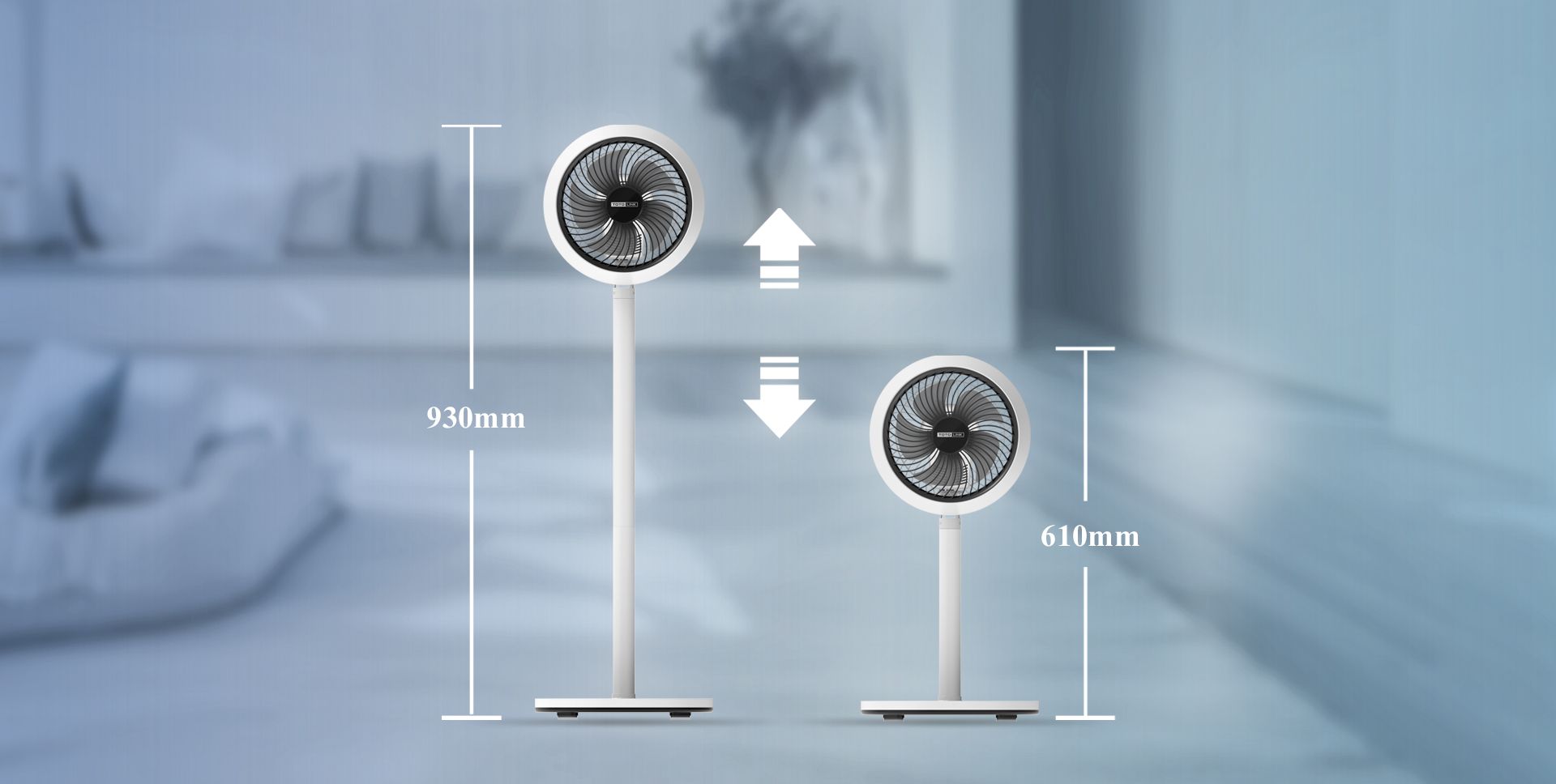 FAN04_05.jpg
