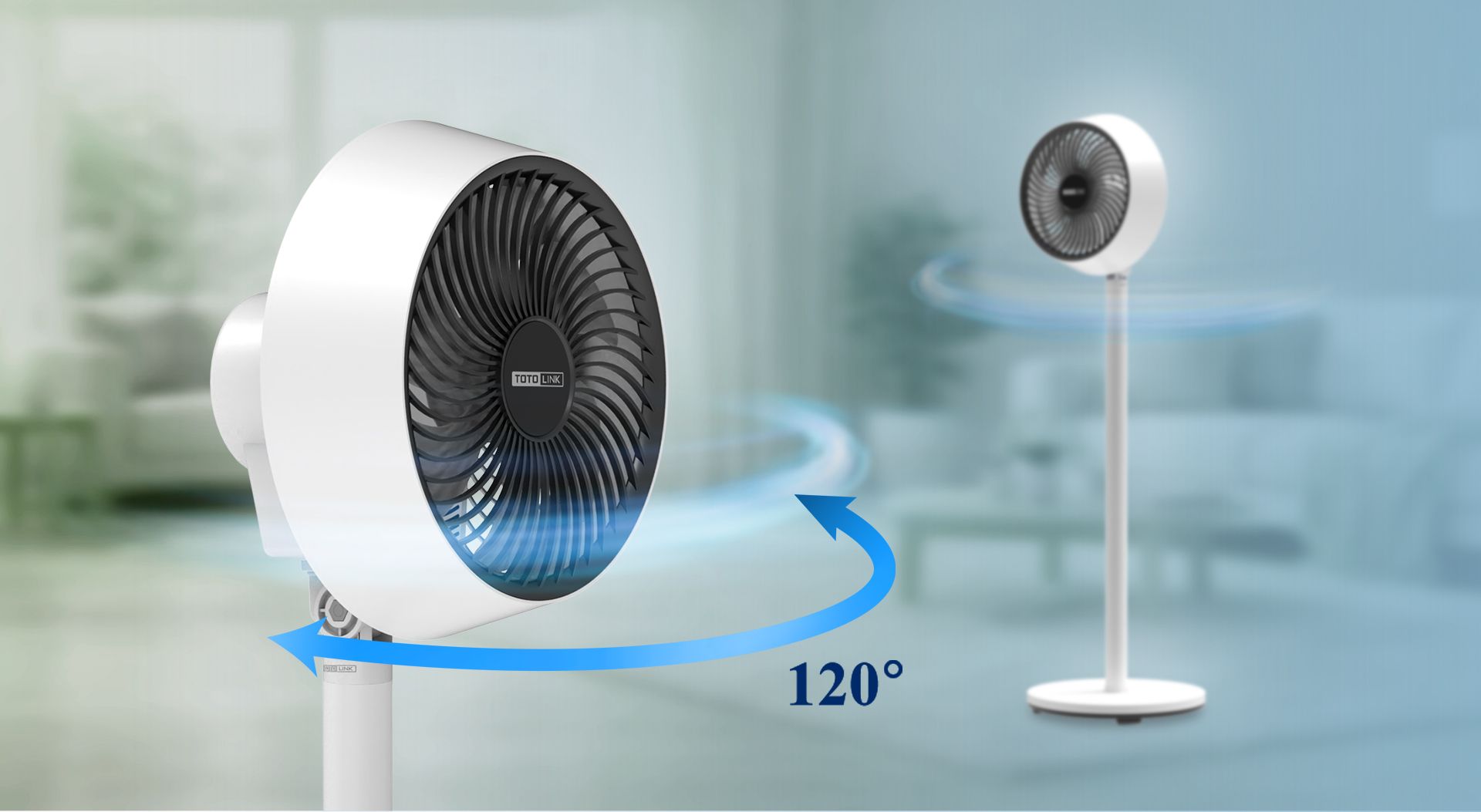 FAN04_07.jpg