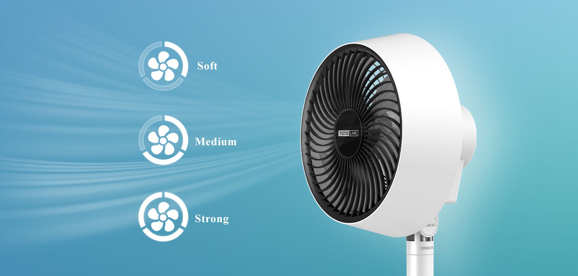 FAN04_11.jpg